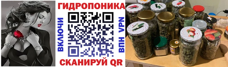 Марихуана план  сайты даркнета клад  Ессентуки  где купить наркоту  KRAKEN ссылка 